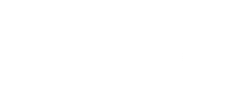 Logo Dsign Squad - witte versie